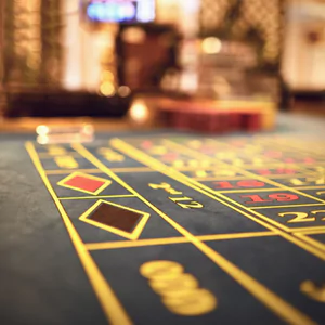 바로벳 완전 분석: 안전성, 이용 방법, 주의사항까지 총정리