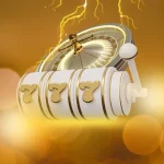 에코벳 종합 가이드